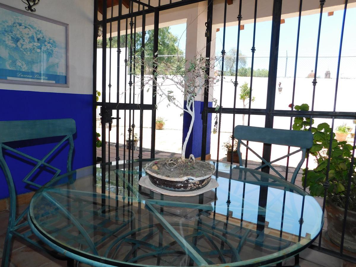 Casa Erizo 39 (adults Only) Inn *