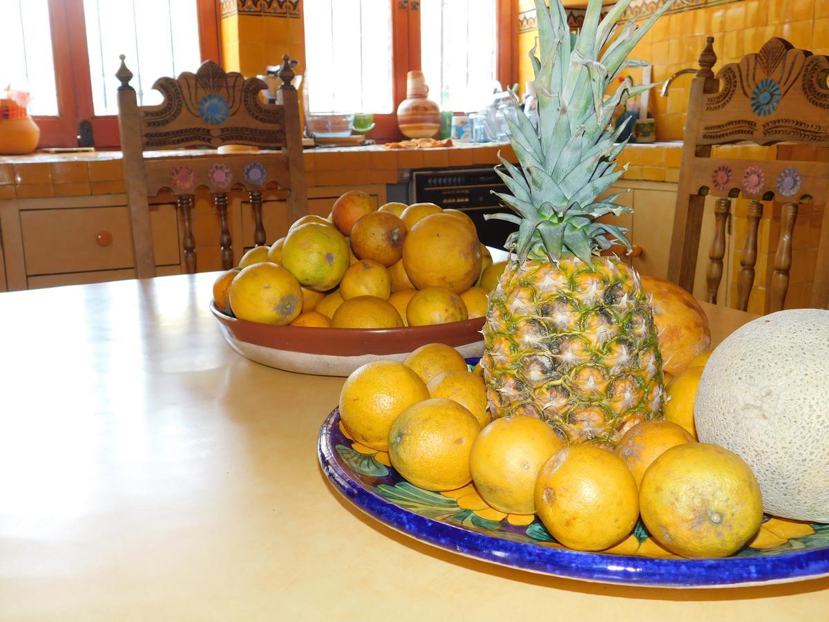 Casa Erizo 39 (adults Only) * Guanajuato